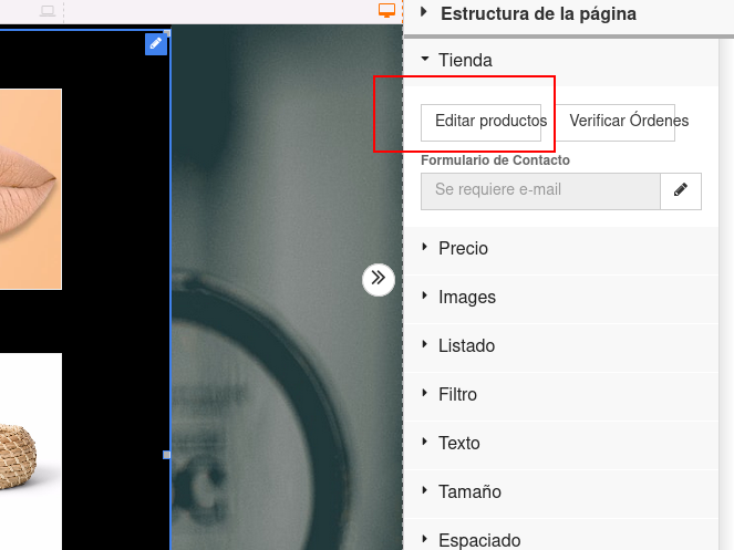 editar producto desde el Constructor de Sitios Plus
