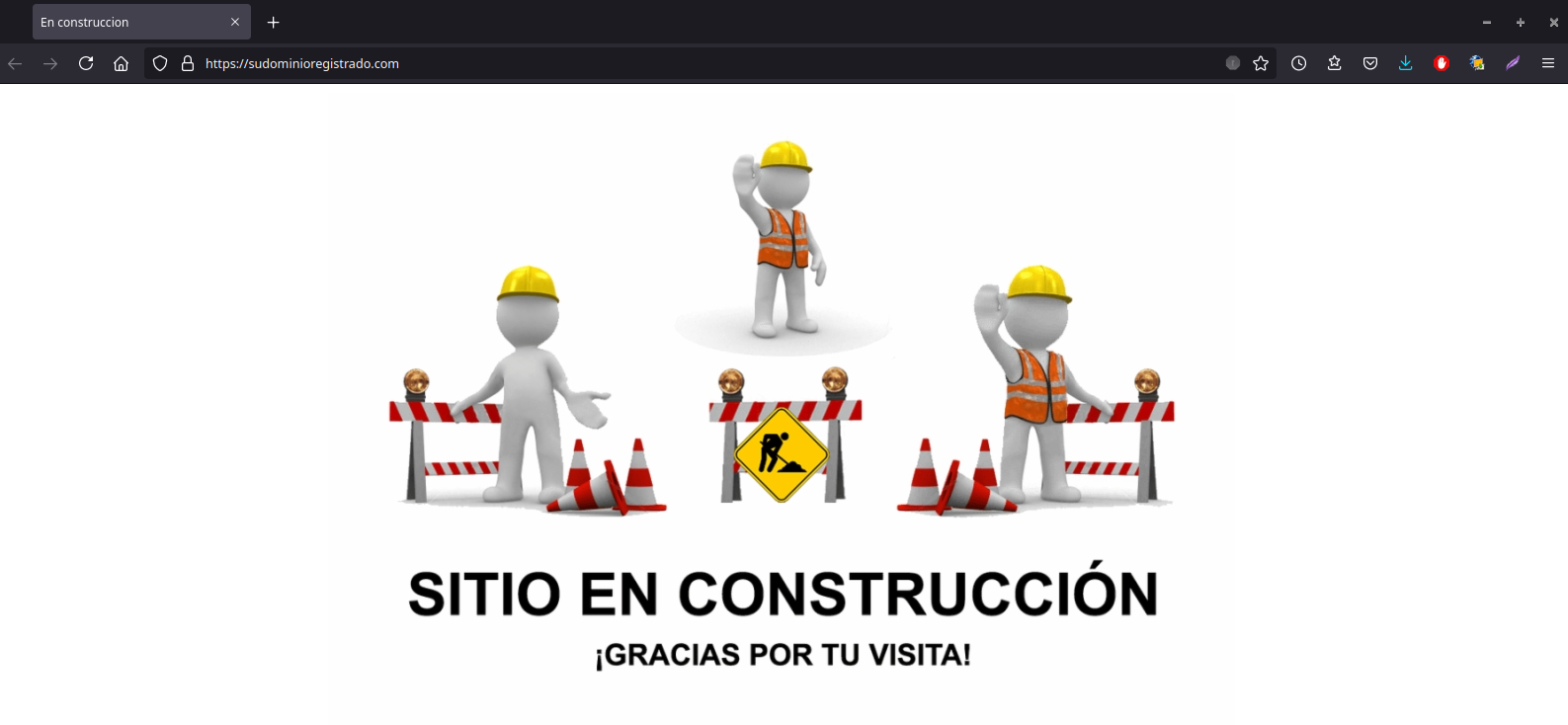 Vista de la página en construcción