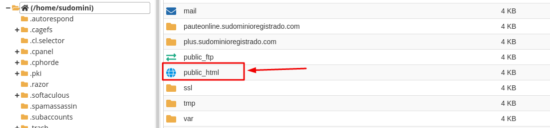 Carpeta public_html del sitio web