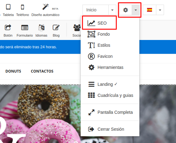 Opción SEO desde el contructor de sitios Plus