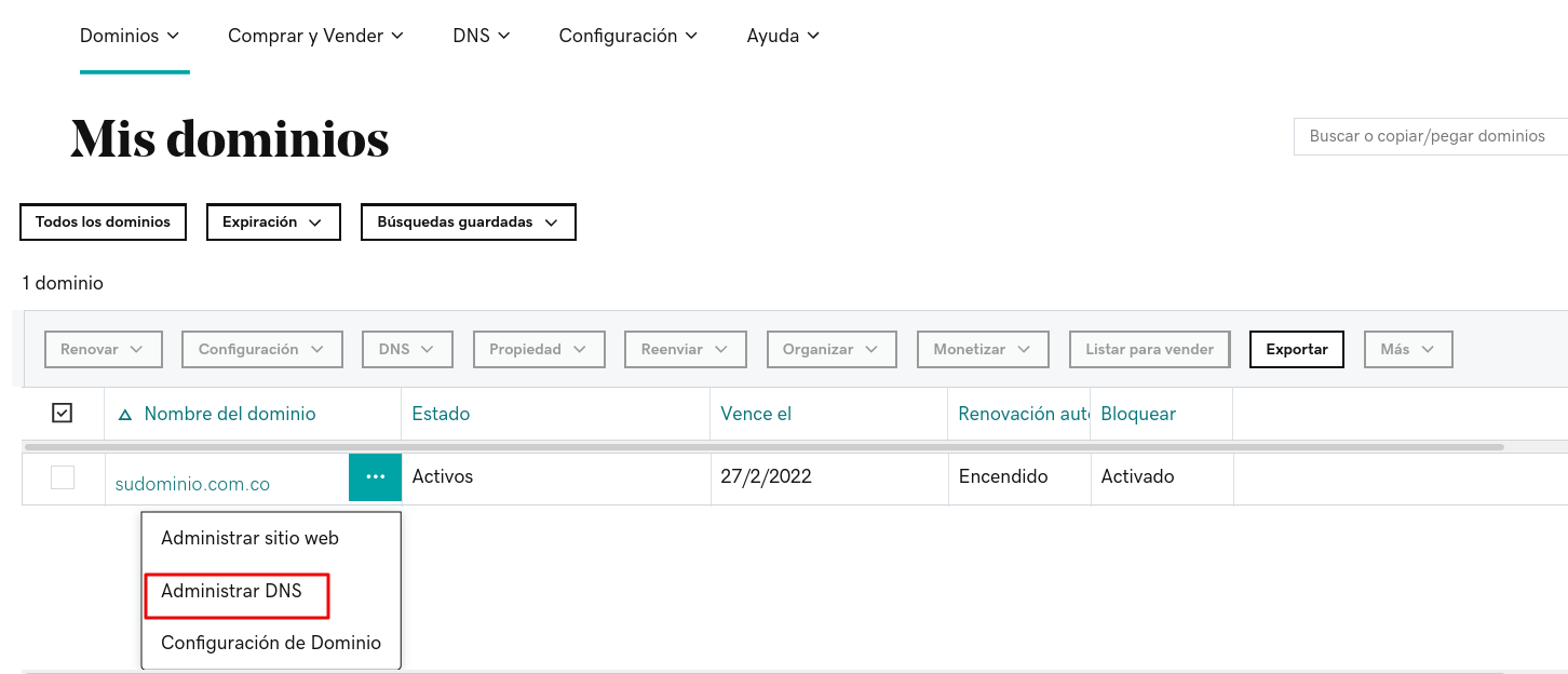 Opción seleccionar DNS