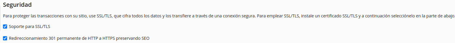Tipo de seguridad