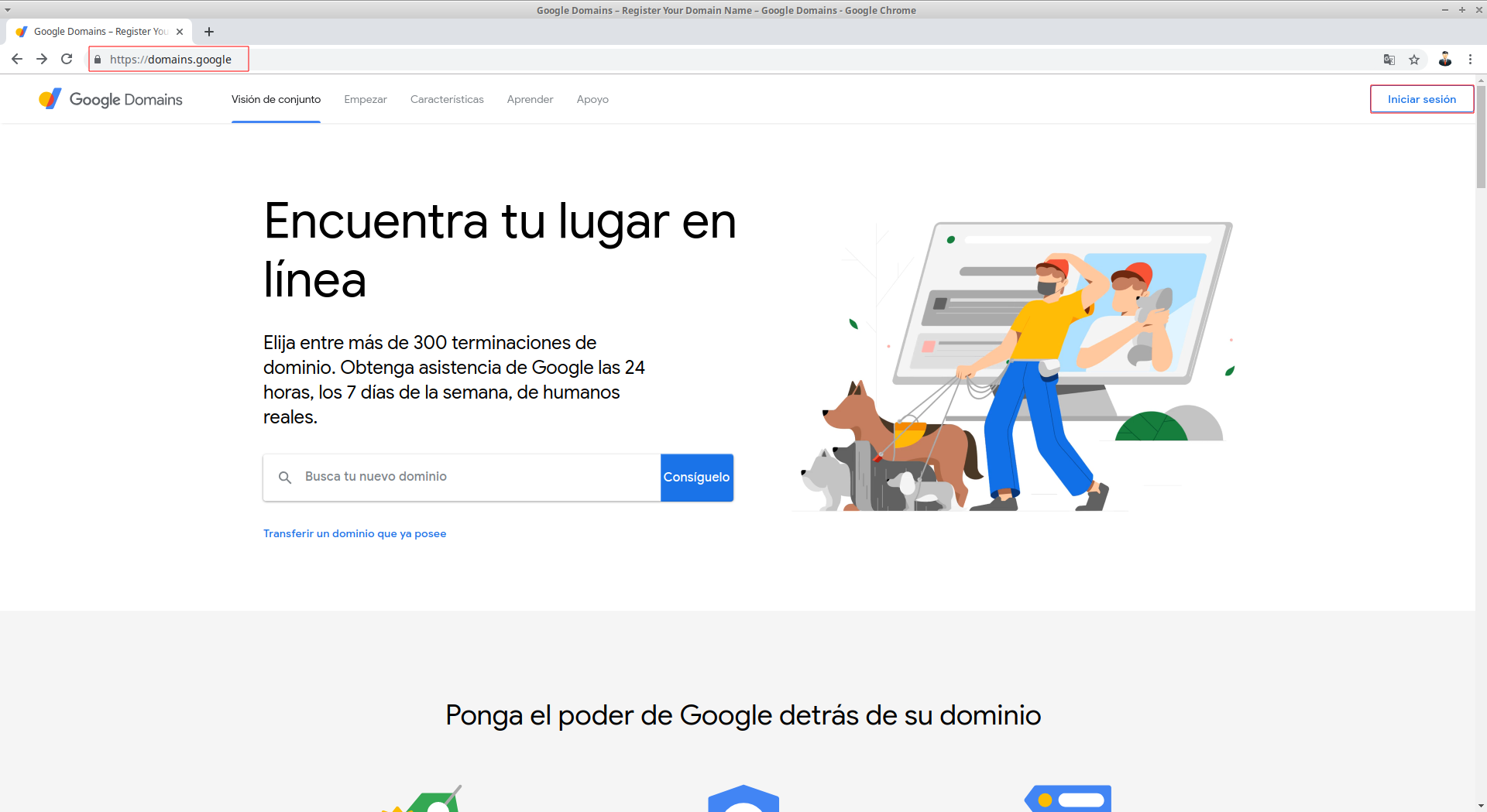 Login Google Domain