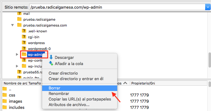eliminar directorio desde filezilla