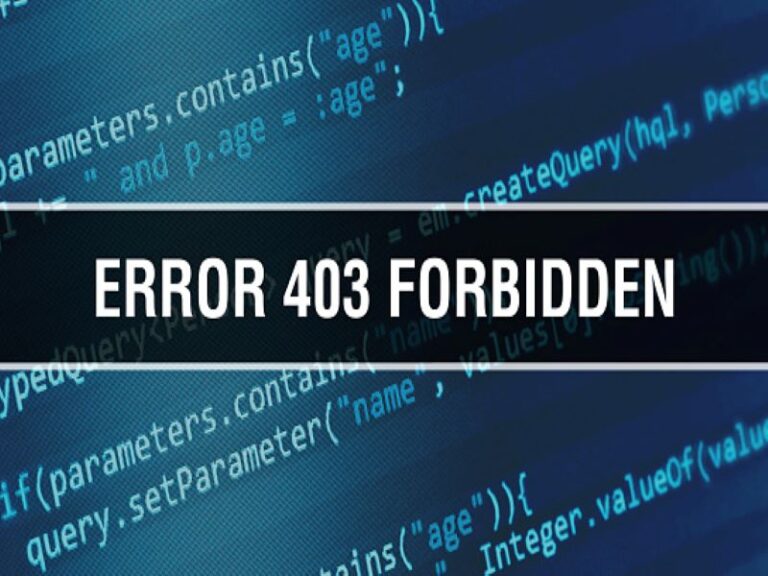 Error 403 o archivo no encontrado en internet