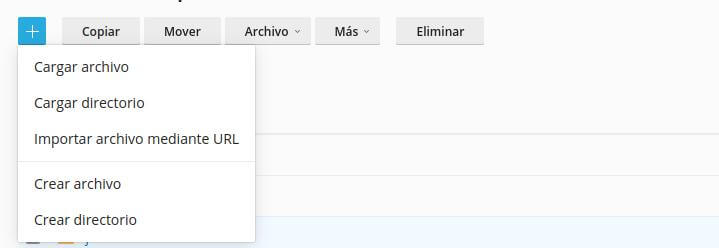 Opciones dentro de el administrador de archivos en plesk