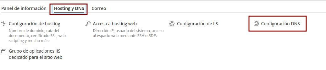 Opcion de DNS plesk