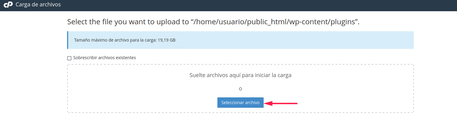 Botón para seleccionar un archivo y subirlo al Hosting