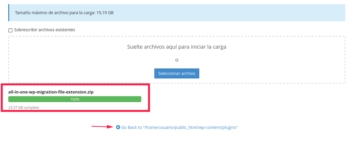 Vista de archivo subido correctamente