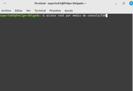 consola terminal en un servidor virtual